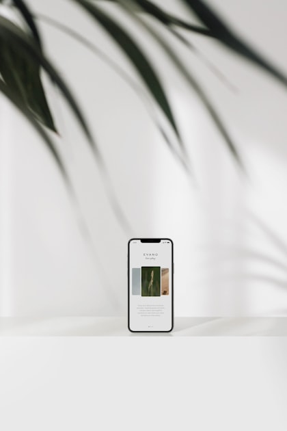 Organize Your Shopping with Ease